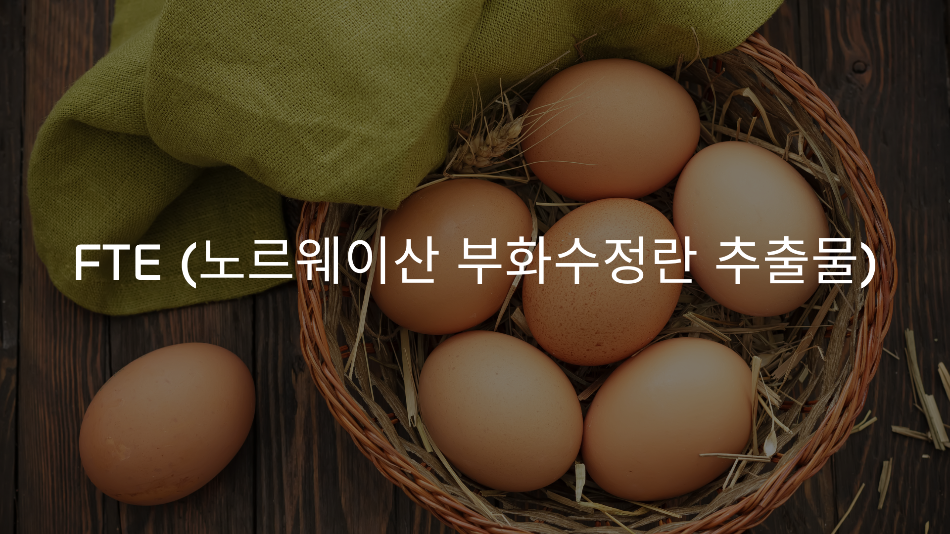 teloyouth 텔로유스