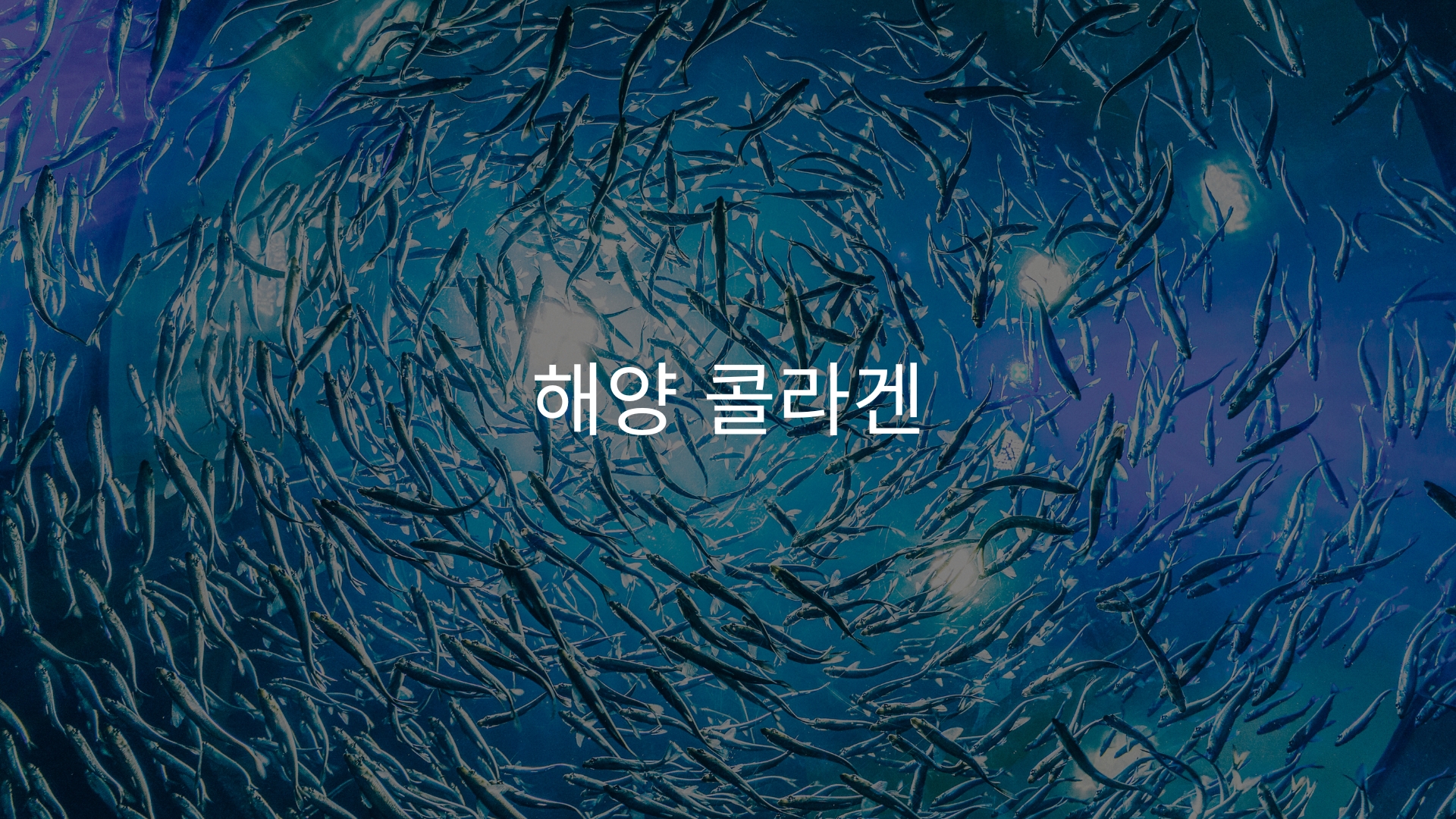 teloyouth 텔로유스