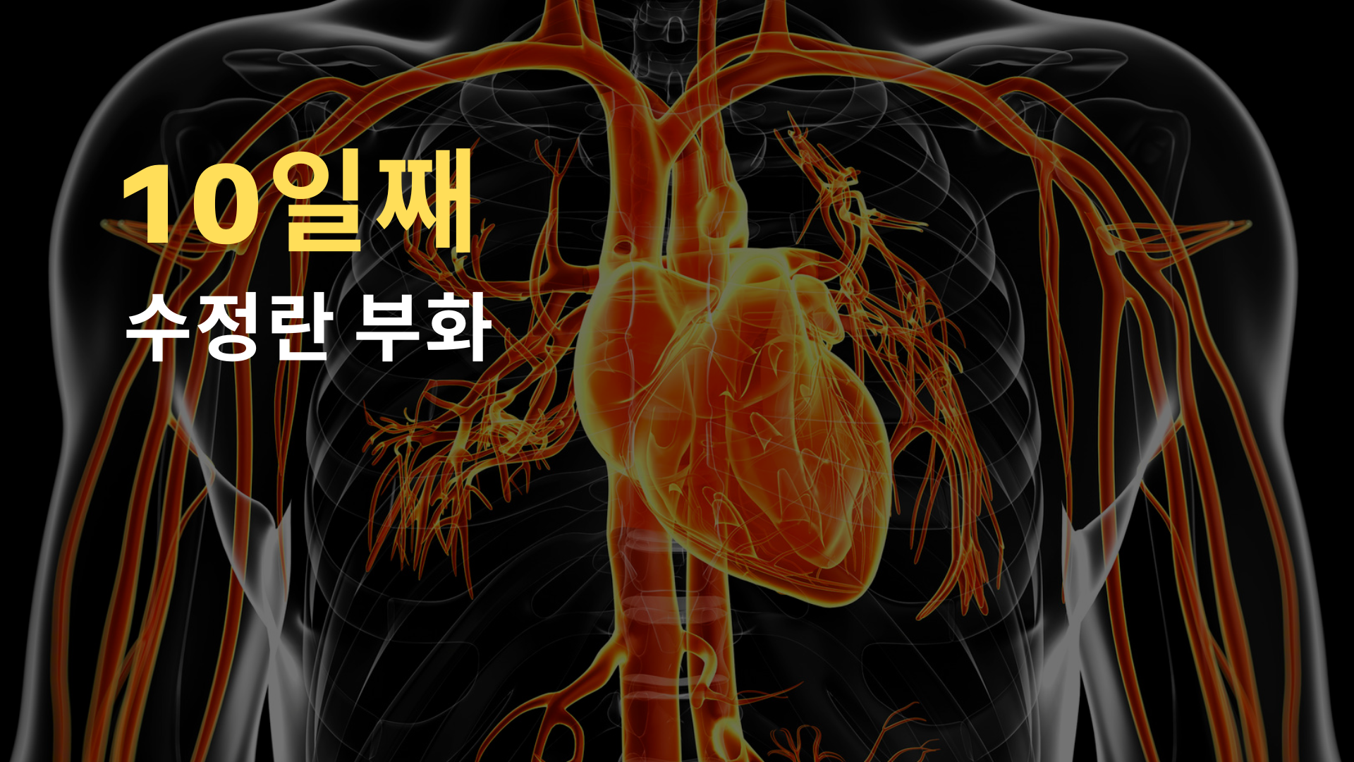 텔로유스
