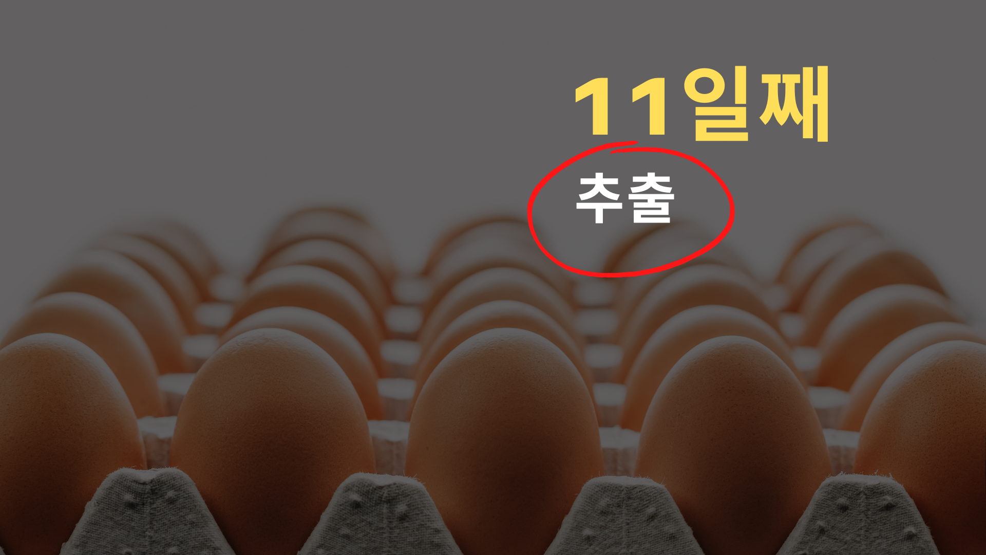 텔로유스